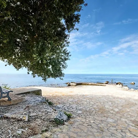 Holiday park Ulika Mobile Homes - Naturist 4*