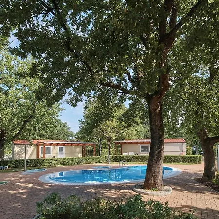 ホリデーパーク Ulika Mobile Homes - Naturist 4*